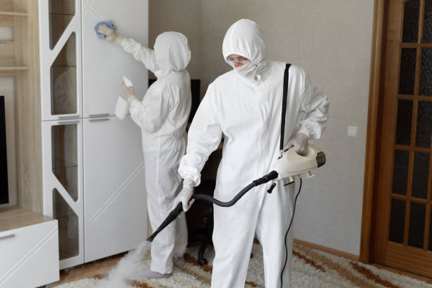 Best Mold Remediation  in Wilburton, OK