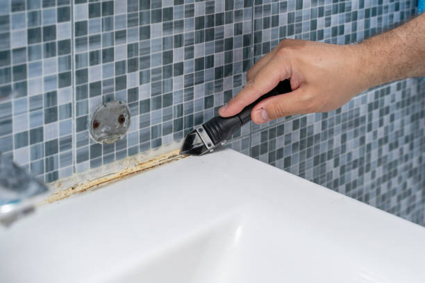 Best Mold Cleaning Services  in Wilburton, OK