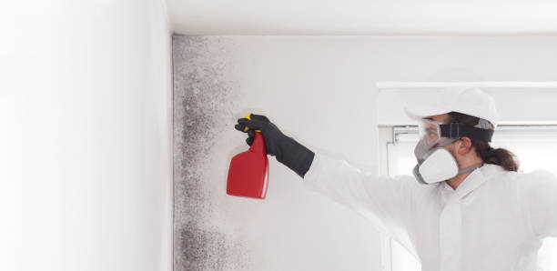  Wilburton, OK Mold Removal Pros