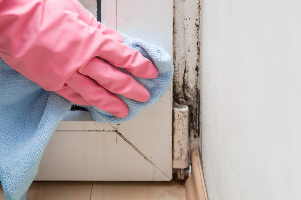 Best Mold Testing  in Wilburton, OK